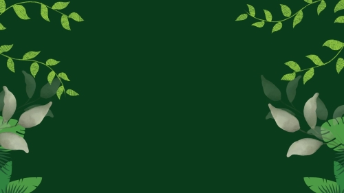 canva green illustrative organic plant zoom virtual background