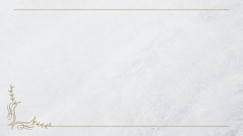canva white and grey simple minimalist floral zoom virtual background